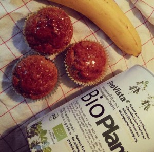 Bio Protein Muffins