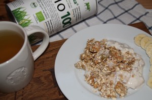 Bio Protein von ProVista - Oatmeal